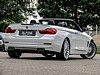 1437_1555_B4 Cab weiss Rear.jpg